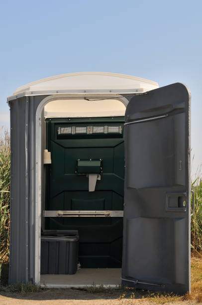 Best Sanitation services for porta potties  in Hamlin, WV